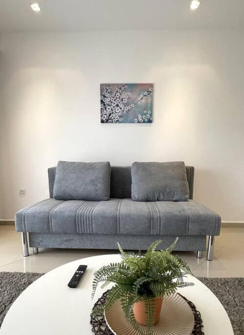 Calm & Cozy 1br,palmeraie * Эйлат
